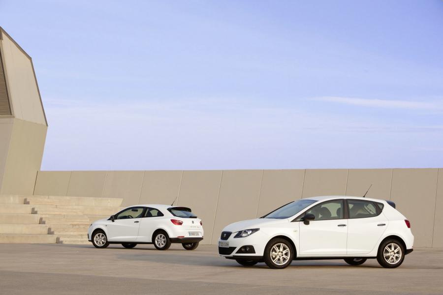  Seat Ibiza 1.2 TDI CR Ecomotive 2010 года  (фото 10 из 15)